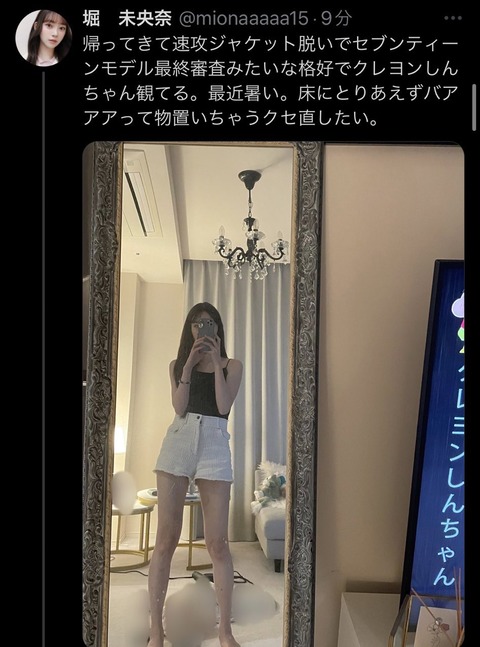 乃木坂アイドル、クレヨンしんちゃんを違法視聴の指摘ツイートをブロックし長文言い訳ｗｗｗｗ