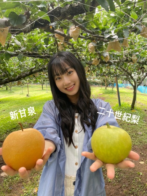 【朗報】AKB48さん、ガチで「とっとりの梨食べたいし(大使)」に任命される。任命式の開催も決定!