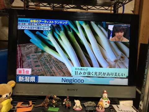 【朗報】新潟県民が選ぶ自慢のアーティスト1位はもちろんあのアイドル！【Mステ】