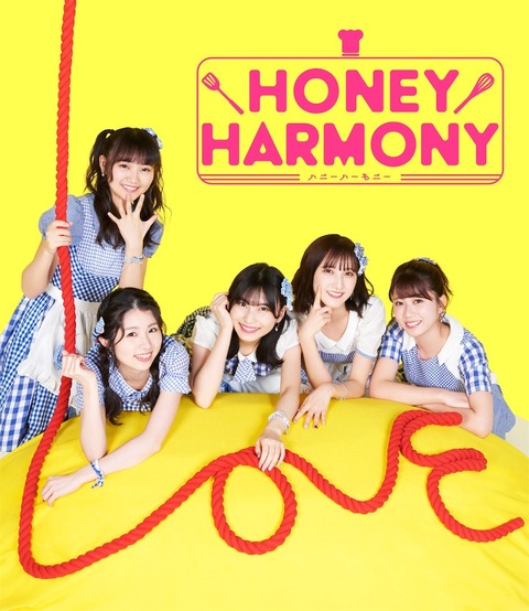 【AKB48】「HONEY HARMONY~ハニハモカフェ・オープン!~」のメニューからぼったくり感が漂う件について