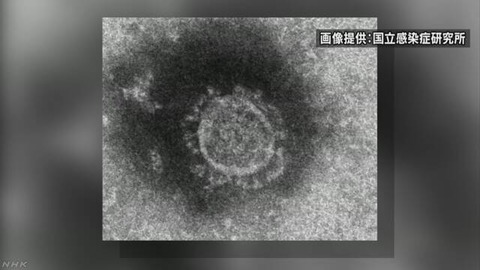 【AKB48G】新型コロナウイルスが原因で最初に解散するグループはどこだろう？