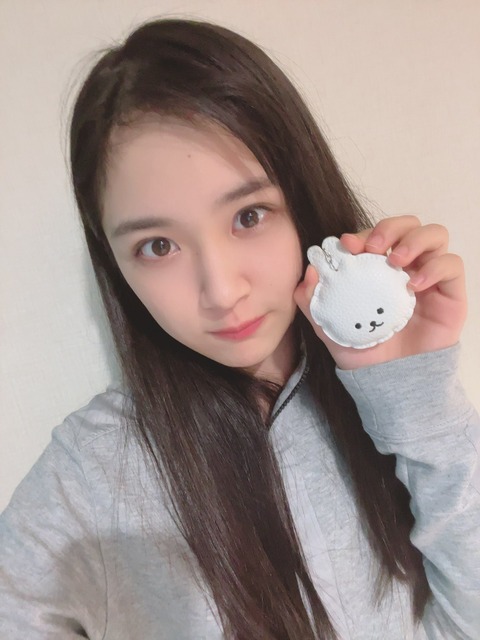 【NMB48】芳野心咲ちゃんの筆箱の中身紹介動画がシュールｗ【みさちょす】