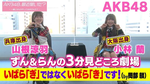 【AKB48】小林蘭の思い出