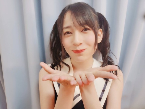 【AKB48】佐々木優佳里「ハピネスランドを建設します！」←どんなアトラクションがありそう？