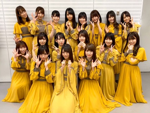 日向坂46や欅坂46よりもHKT48やNMB48の方が可愛いメンバーが多くないか?
