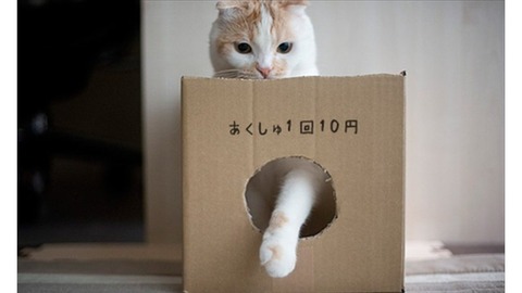 【HKT48】握手ができないのに握手会を名乗るオンライン握手会