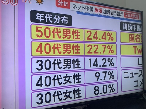 【悲報】ネット誹謗中傷、5割以上が40代・50代男性