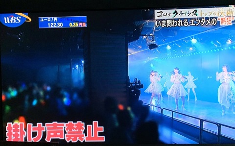 【テレ東】WBSでAKB48劇場の様子が流れたらしいけど見た奴いる？