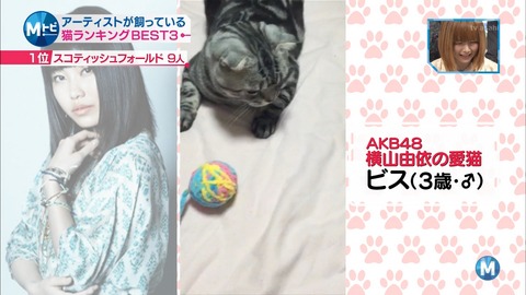 【画像】MステになぜかAKBメンバーのペットが出まくりwww