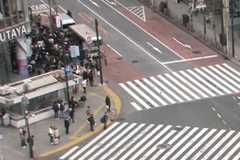 【炎上】櫻坂46オタクのマナーが酷すぎて大迷惑!渋谷の道を塞いで通せんぼ