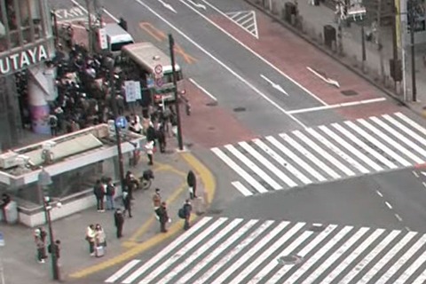 【炎上】櫻坂46オタクのマナーが酷すぎて大迷惑！渋谷の道を塞いで通せんぼ