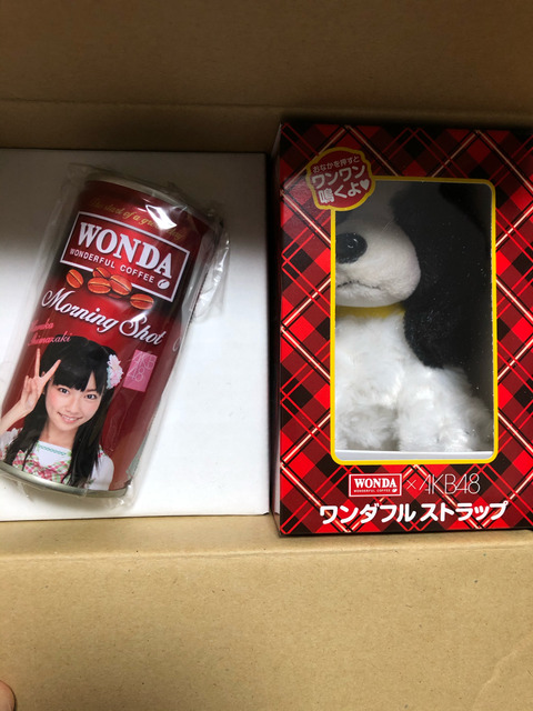 【AKB48G】過去の栄光になっちまったお宝品ってどうしてる？メルカリ？廃棄？