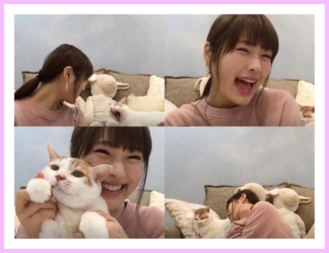 【AKB48総選挙】メンバーが飼ってるネコが立候補したら何位になると思う?