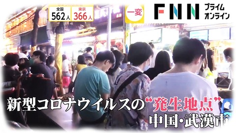 【新型コロナ】お前ら何でもかんでも白間のせいにしてるけど、元はといえばすべて中国が悪いんだぞ?(7)