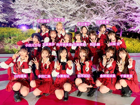 【AKB48】小栗と本田以外にまともな外仕事が来ないのはグループのせい？それとも個人のせい？