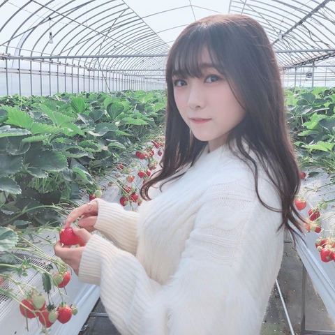 【HKT48】武田智加さんの全力童貞殺しがコチラｗｗｗｗｗｗ