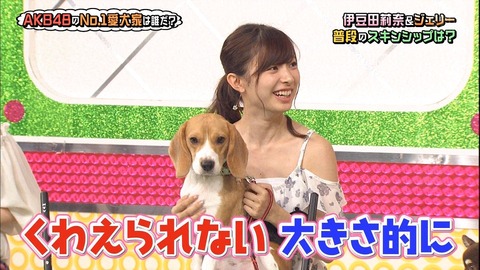 【AKB48G】推しメンが実家で飼っているペットになれるボタン、押す？