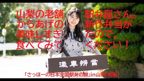 【悲報】AKB48岩立沙穂さんが密かに駅弁連載していたサイト「TABILISTA」が閉鎖