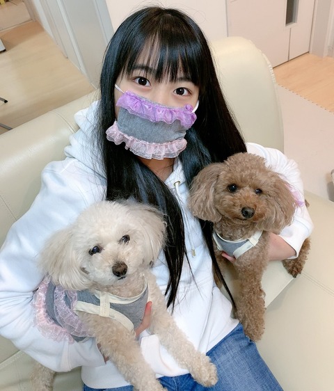 【AKB48G】手作りマスクが流行ってる今、絶好の女子力アピールポイントなのに何故アイドルは作ってドヤらないのか