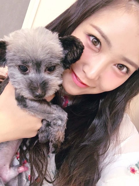 【AKB48】ゆきりん「ブツがめっちゃデカい犬を見た」【柏木由紀】