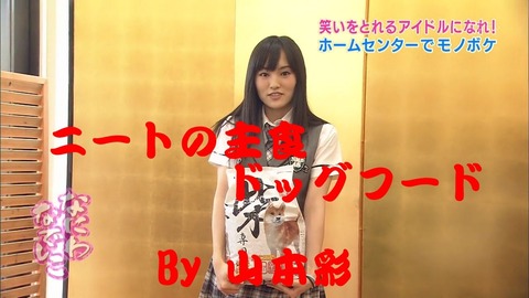 【悲報】AKB48Gメンバーのほとんどが総自宅警備員化してしまっている件