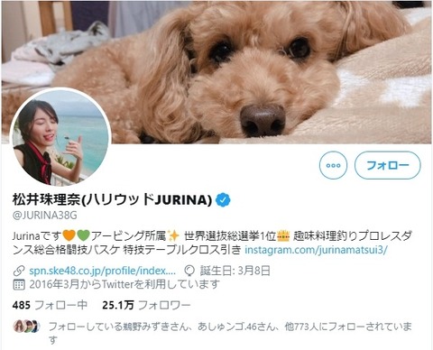 松井珠理奈の世界選抜総選挙1位ってツイのプロフは指原に喧嘩売ってるのかな？