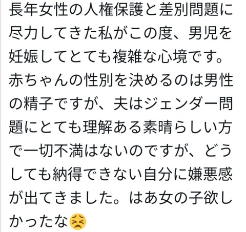 【悲報】フェミさん、男児を妊娠してしまい意気消沈する