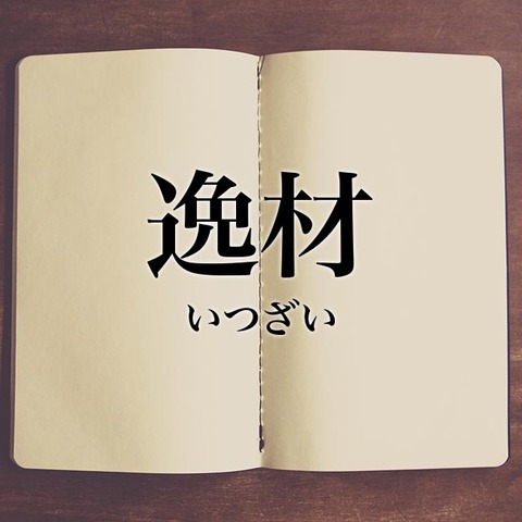 市岡愛弓、大谷満理奈 、門脇実優菜 、吉崎凜子という逸材を活かせなかったSTU48運営
