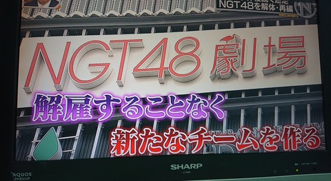 【NGT48】1期生と研究生で再スタートするとか言ってるけどキャプテン誰?