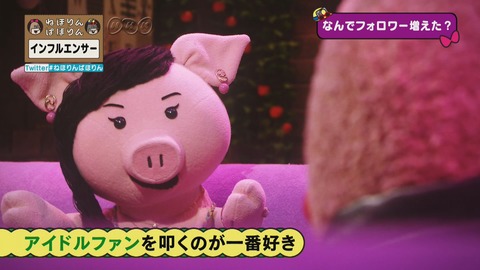 【悲報】NHK「乃木坂ファンは、職業不詳の血圧上り坂46。」と放送してしまうｗｗｗｗｗｗ