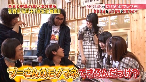 【疑問】煽り抜きでNGT48の良さって何?顔?乳?ダンス?歌?演技?