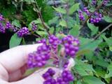 ϡ¨󤹣ɤߤƤ͡