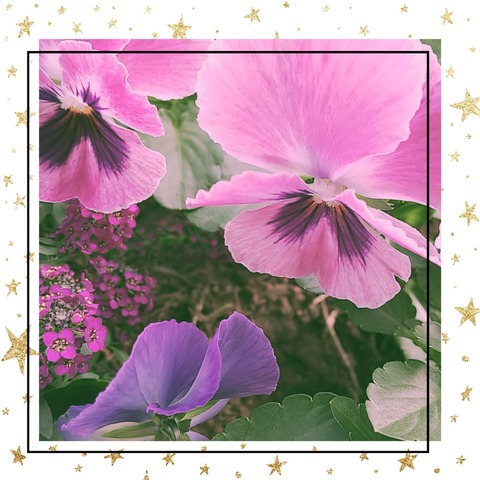 Picsart_24-01-31_21-36-57-231