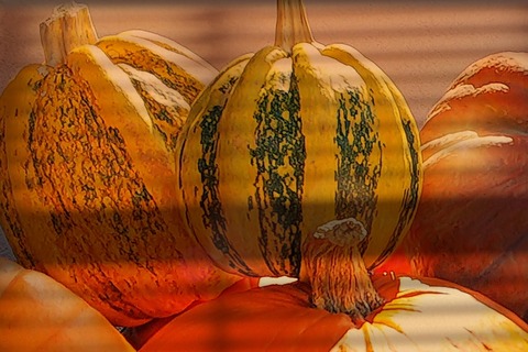 Picsart_22-10-14_15-12-19-476