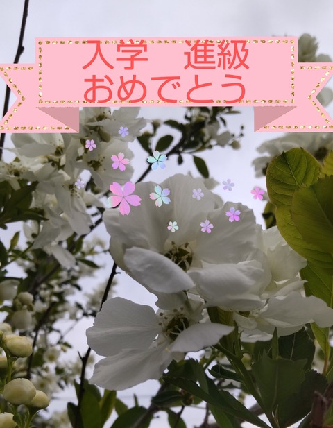 Picsart_22-04-06_20-46-17-856