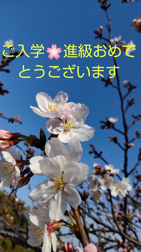 Picsart_23-04-04_00-31-13-202