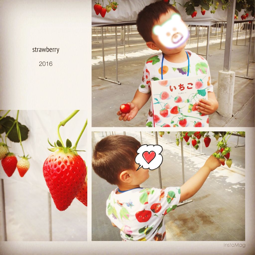 第1冊 いちご 平山和子 神戸御影 絵本とこどもと私のくらし