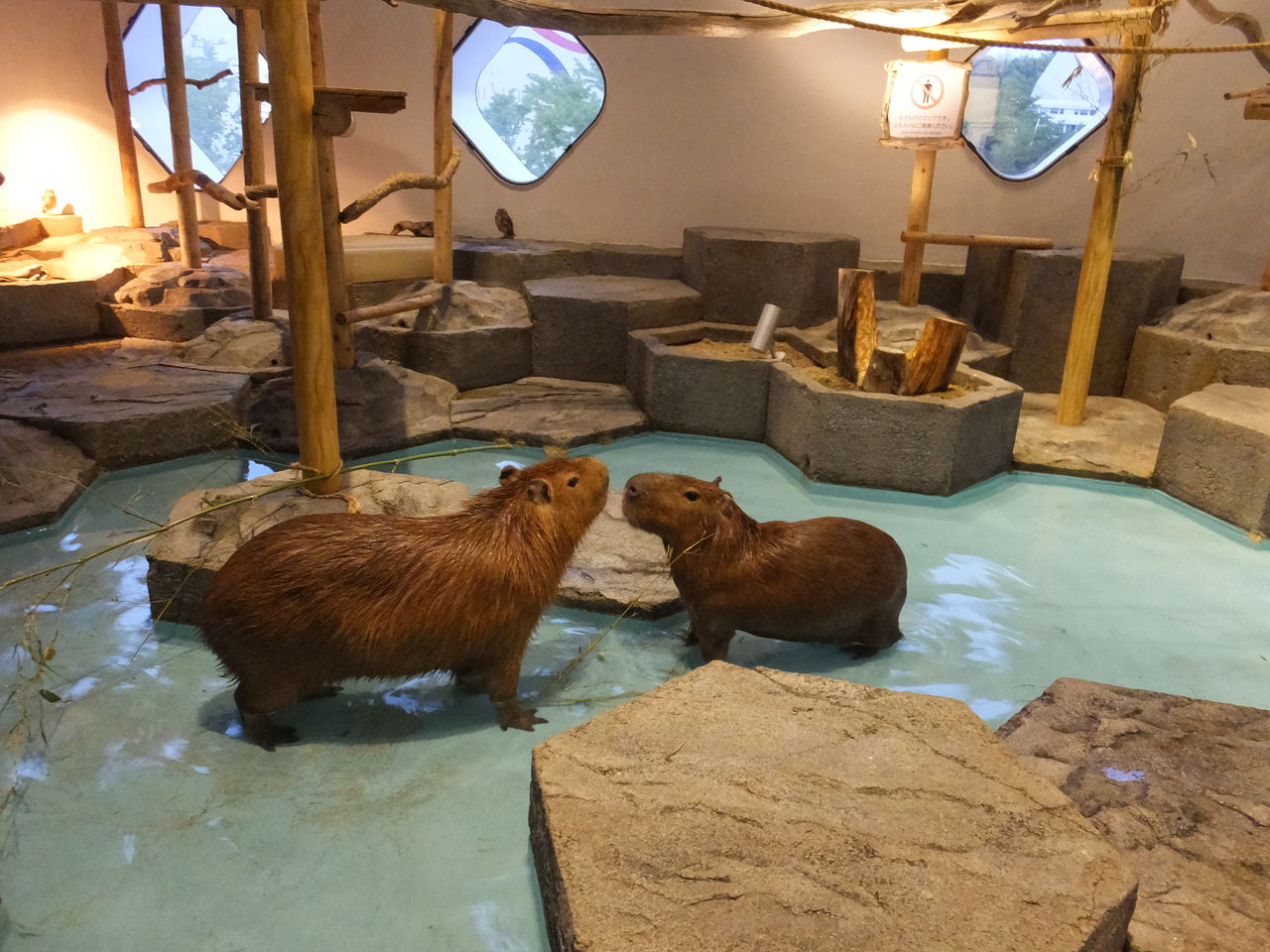 ニフレル Nifrel とガンバ大阪スタジアム 市立吹田サッカースタジアム 二人一緒に