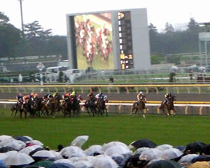 2010オークス写真1