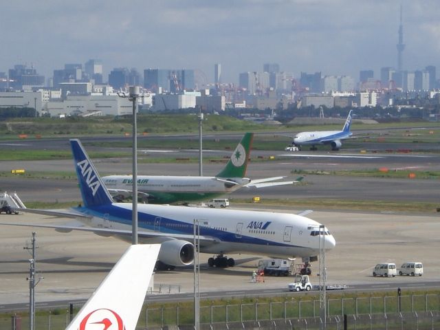 羽田空港へ 東京スカイツリーも見えます サイト運営者日記 ぶらぶらうだうだ 羽田空港へ 東京スカイツリーも見えます サイト運営者日記 ぶらぶらうだうだ