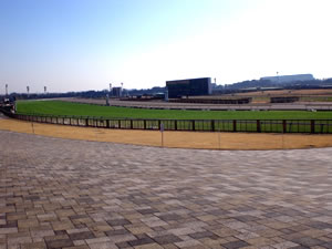 15東京競馬場