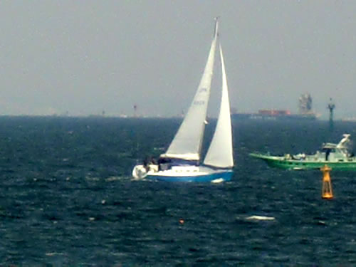 横浜ベイサイドマリーナからの東京湾1