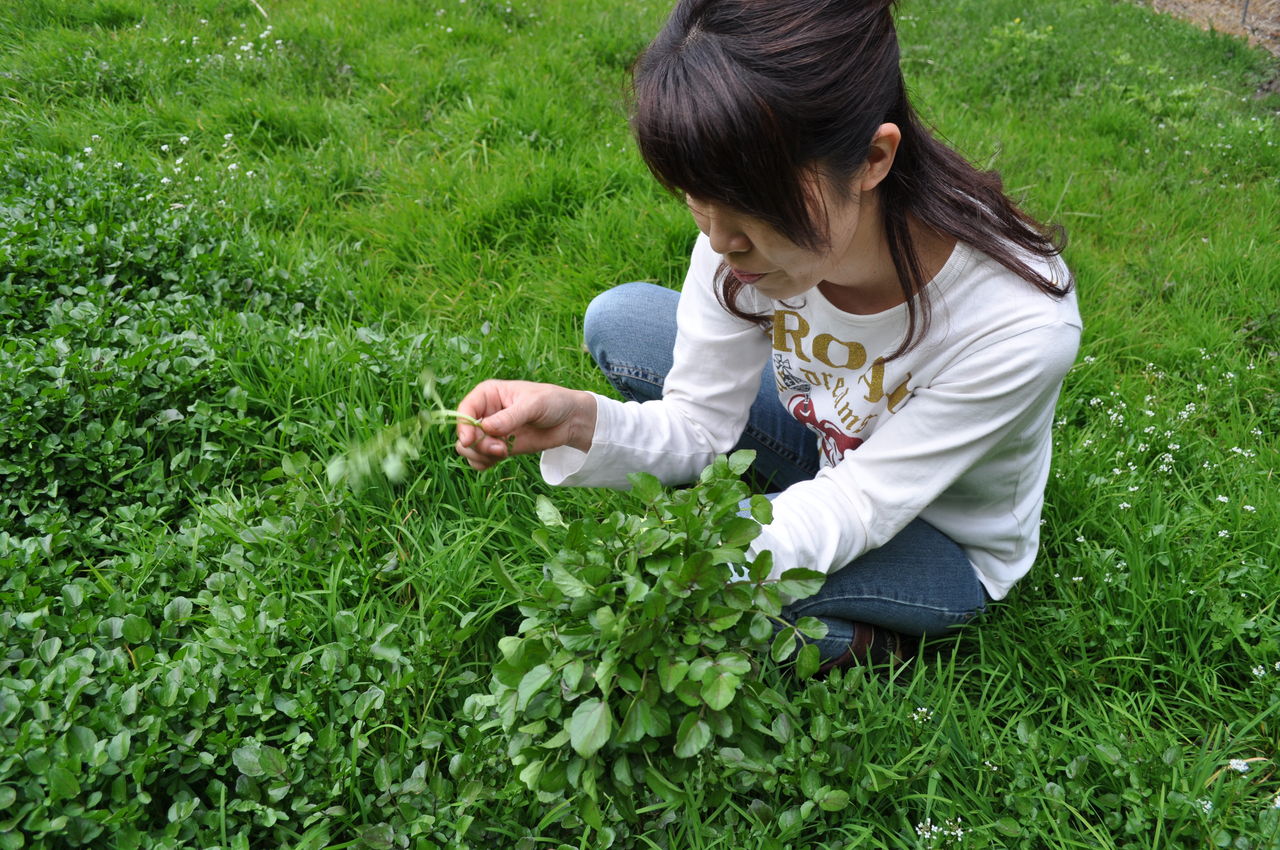 二期作の経過報告 五百川 田植え開始 O 米屋のプーさん