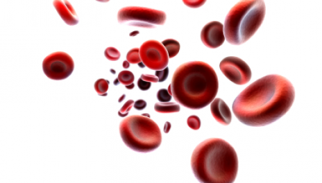 what_you_need_to_know_about_the_blood_group_diet_469_x