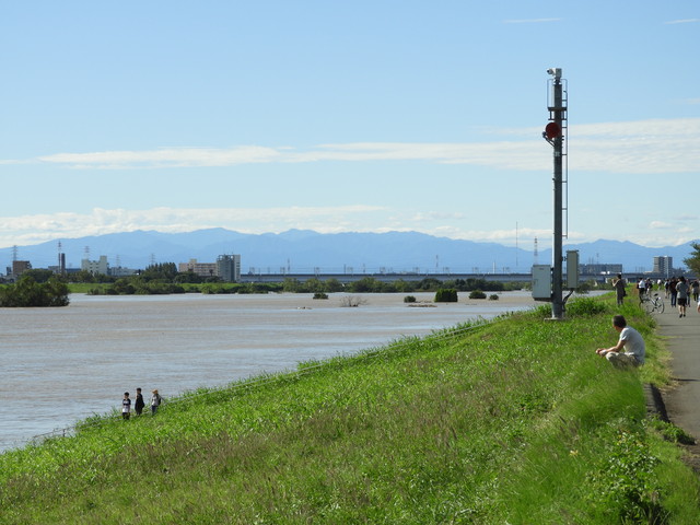 県 川口 市 台風 埼玉