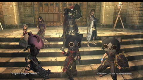 Dragon's Dogma Online__295