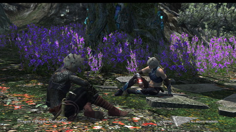 Dragon's Dogma Online__901
