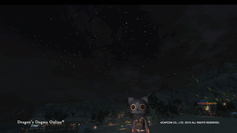 Dragon's Dogma Online__154