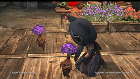 Dragon's Dogma Online__183