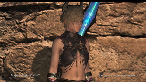 Dragon's Dogma Online__732